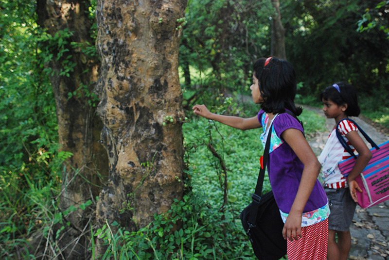 Children investigating wild berries of the Umber tree